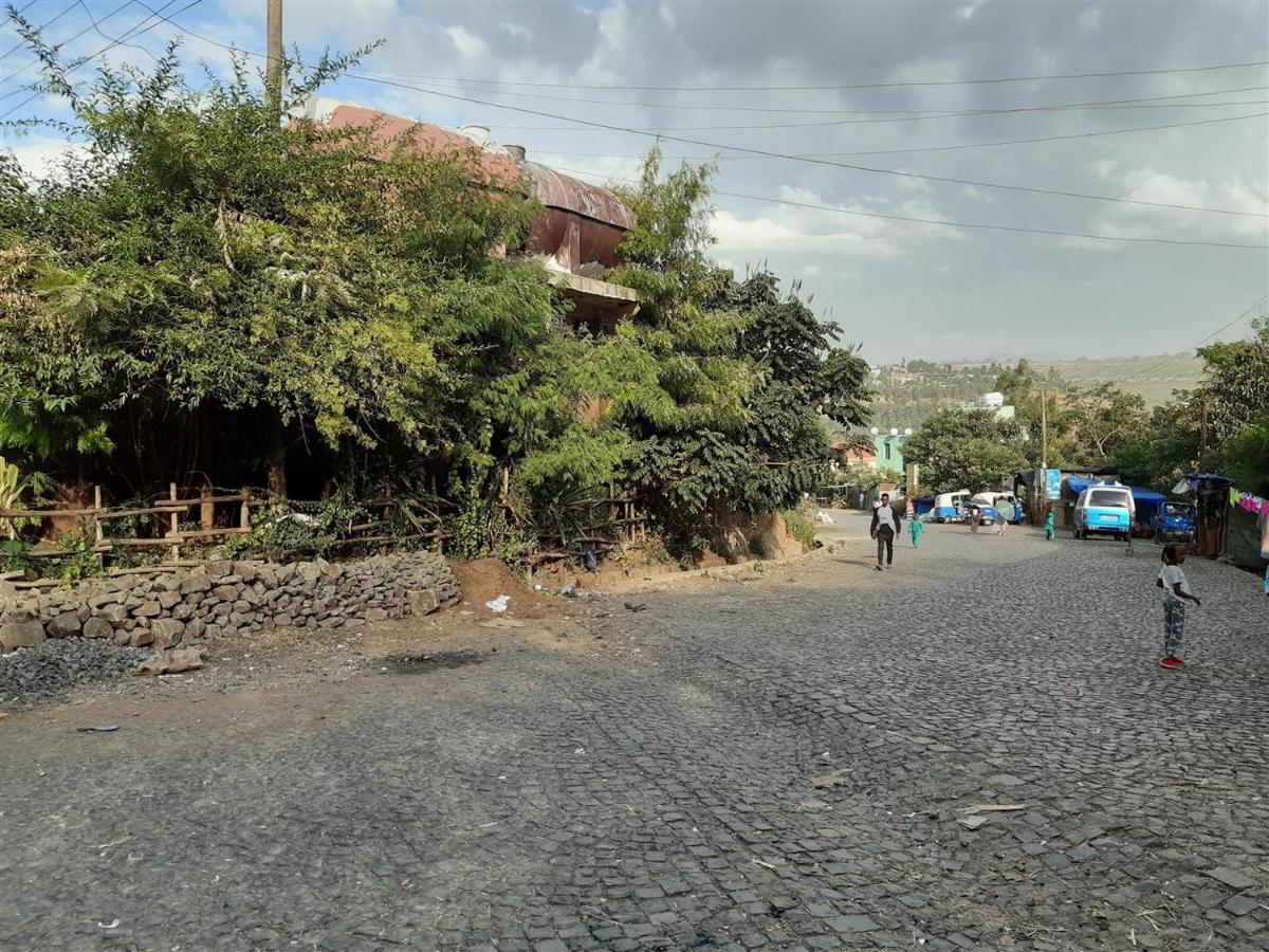 Lodge Du Chateau Gondar Dış mekan fotoğraf