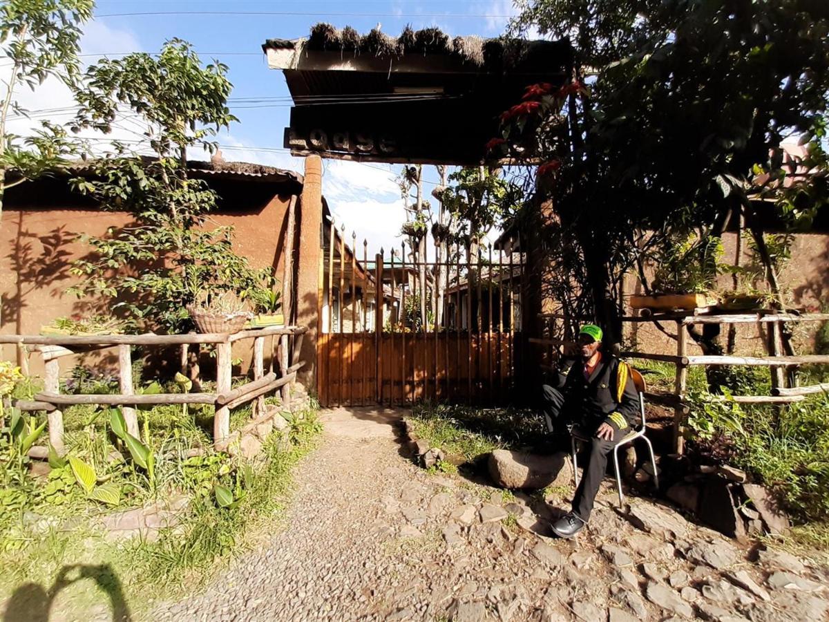 Lodge Du Chateau Gondar Dış mekan fotoğraf